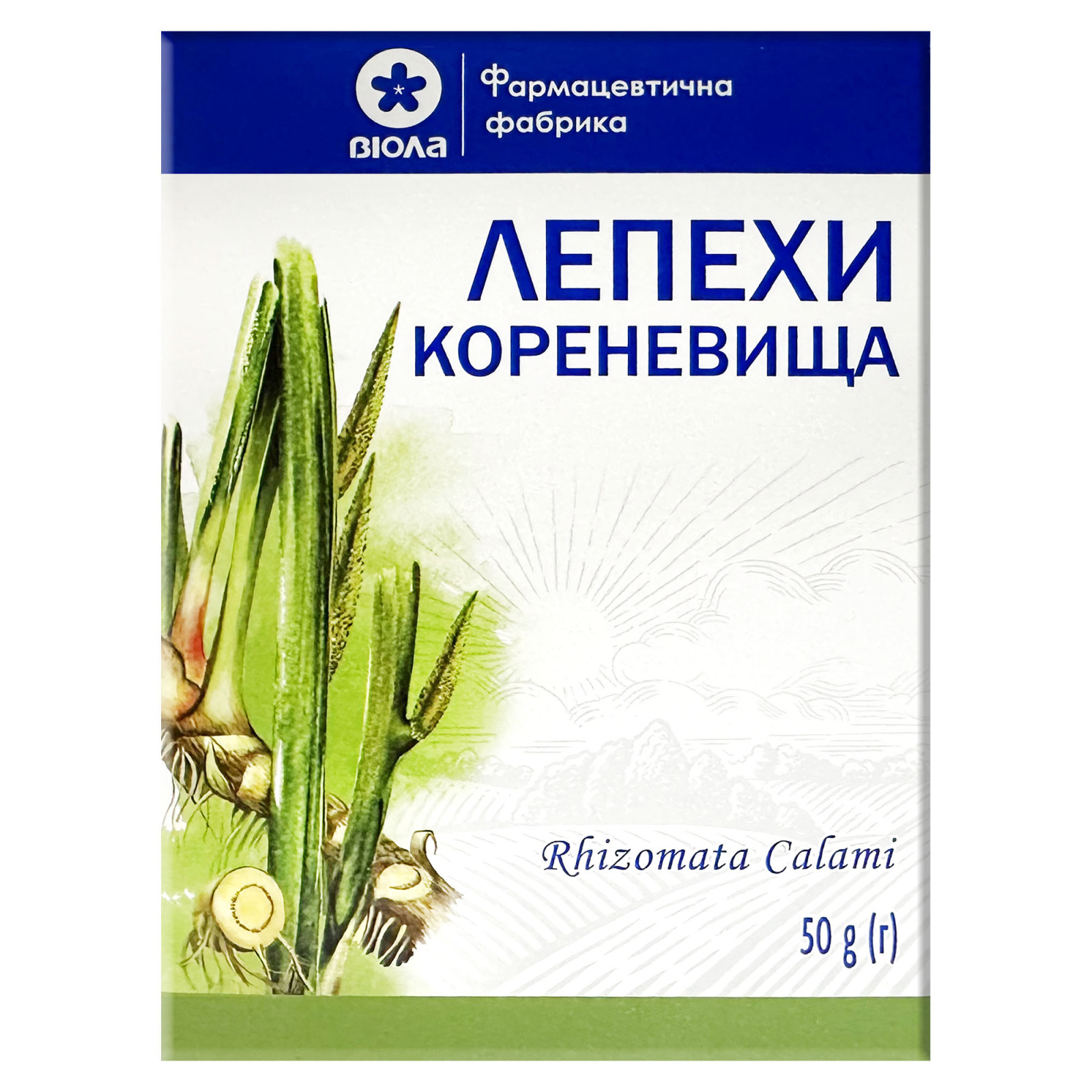 Аїр звичайний (Acorus calamus) корені 50g/1.8 Oz