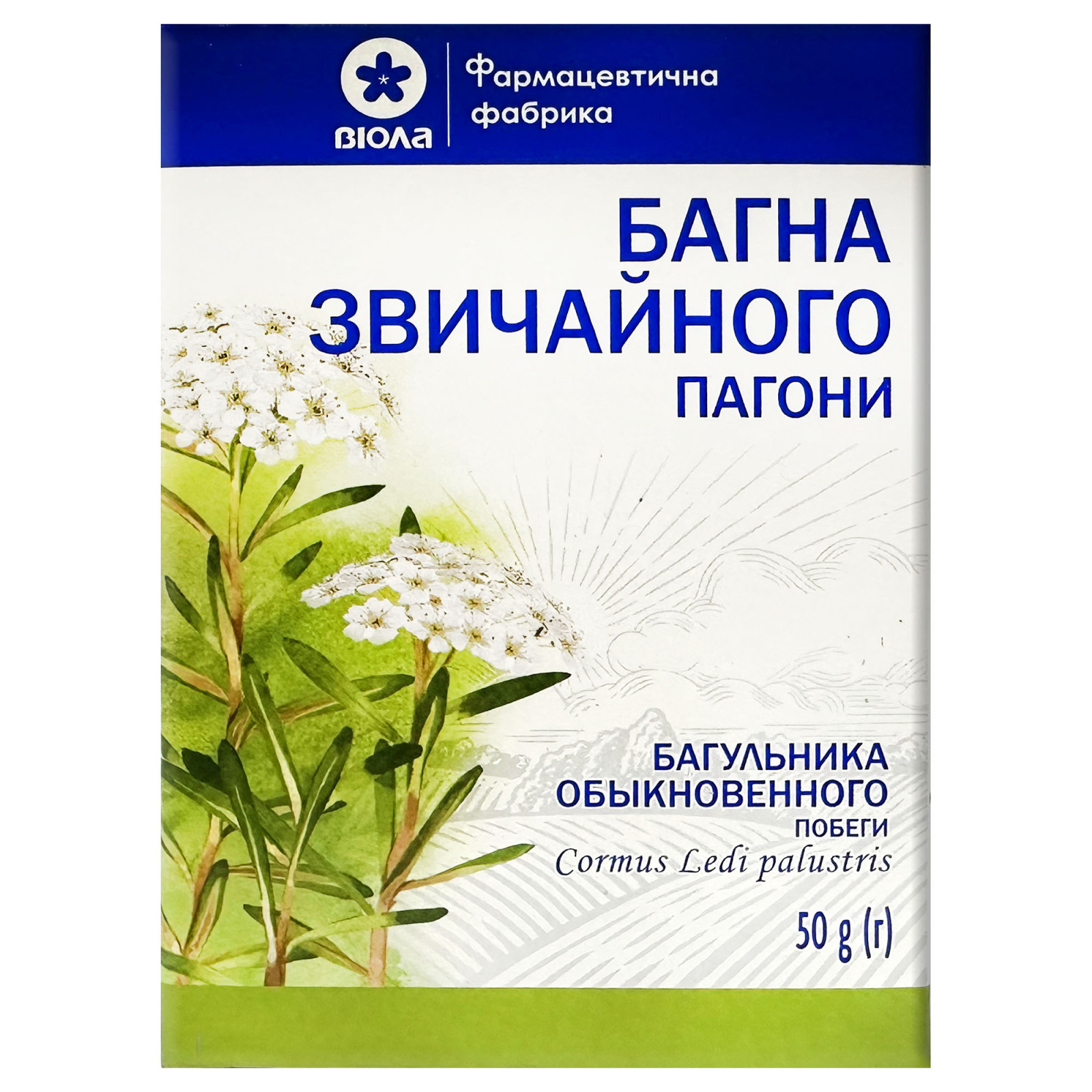 Пагони багна болотного (Rhododendron tomentosum) 50g