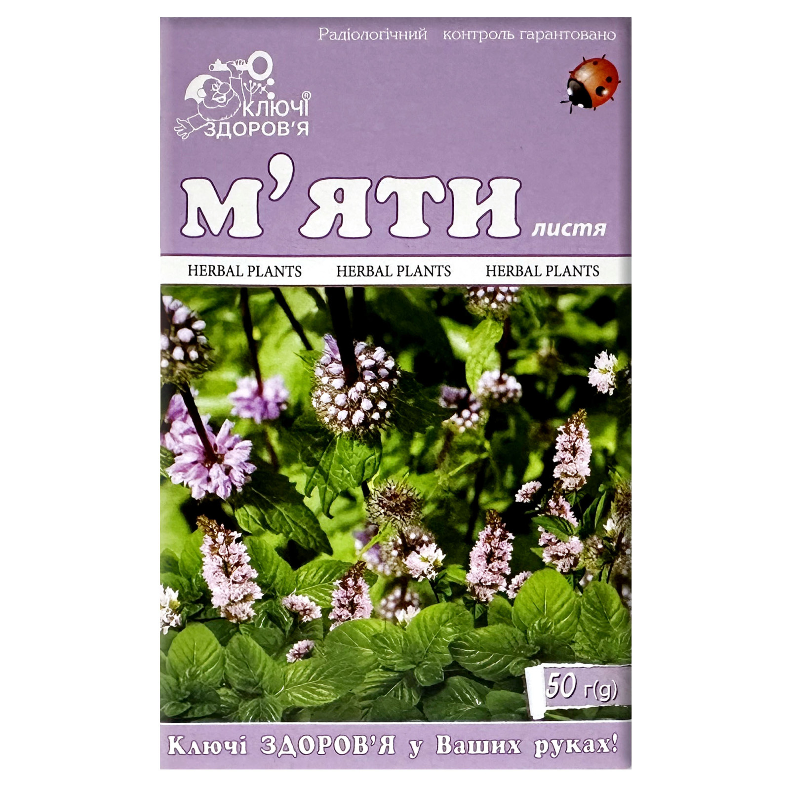 Листя м’яти перцевої (Mentha × Piperita) 50g/1.8 Oz