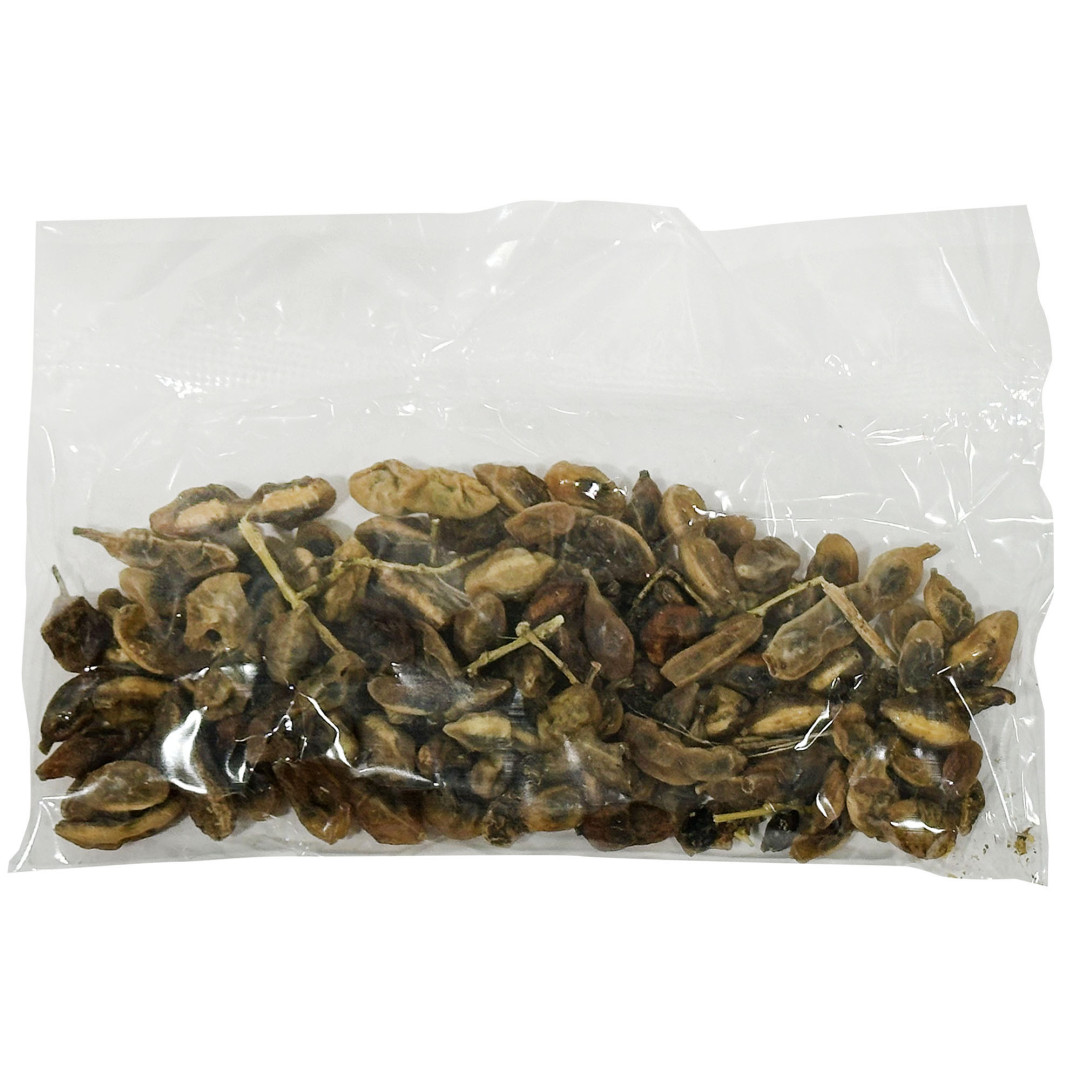 Насіння софори японської, софори (Styphnolobium japonicum) 50g/1.8 Oz