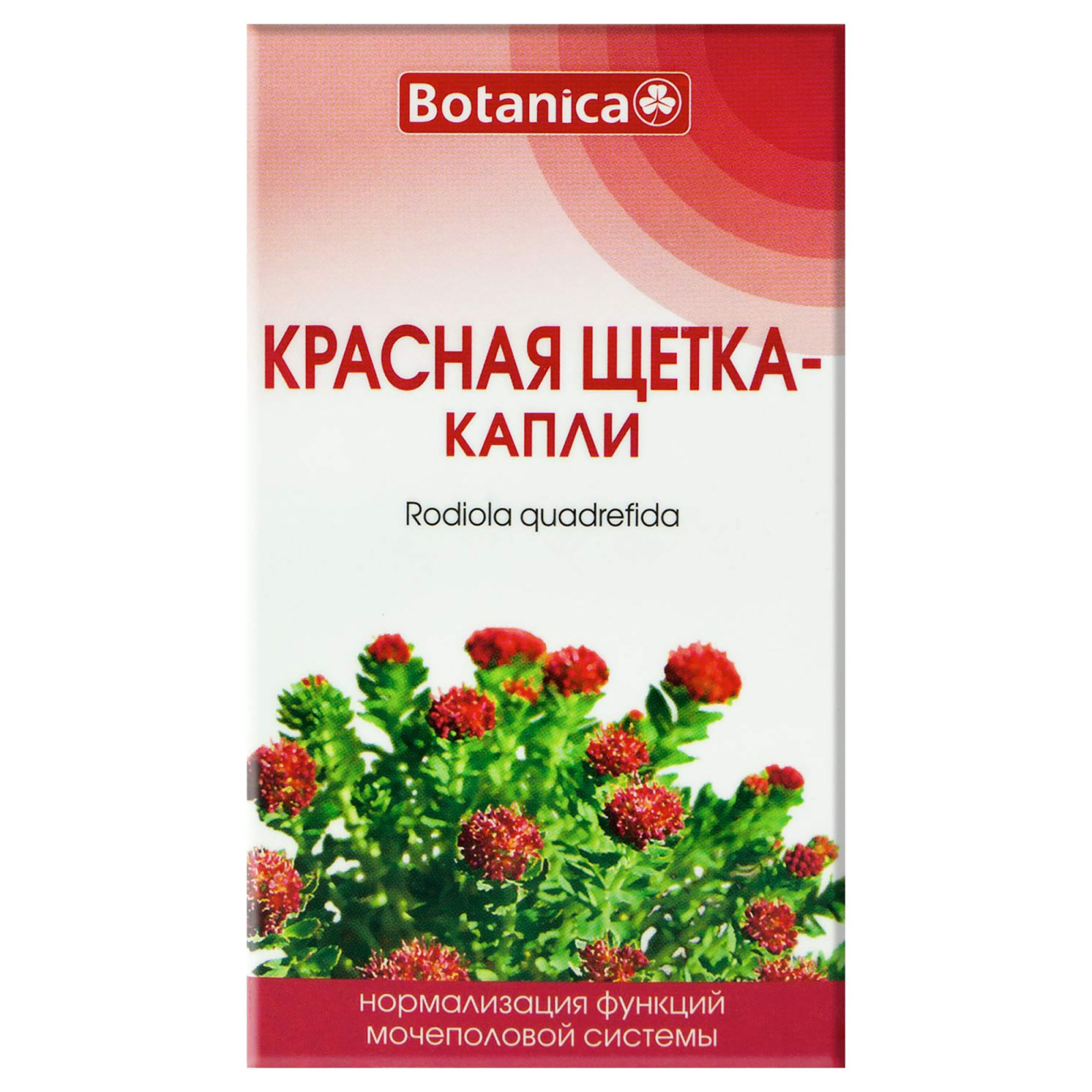 Рідкий екстракт родіоли чотирироздільної (Altai Red Brush) 50ml/1.7 Fl Oz