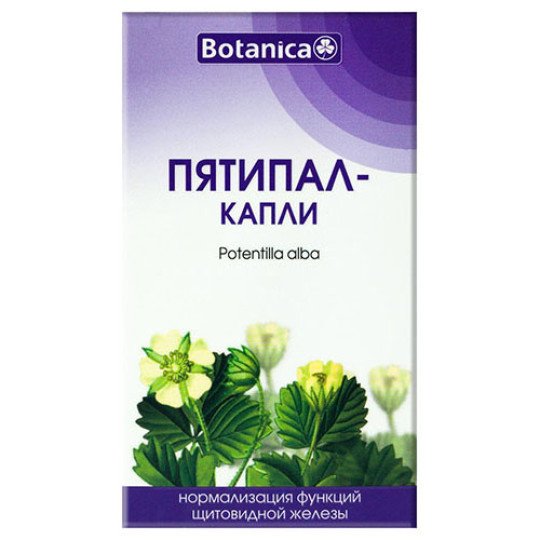 White Cinquefoil (Potentilla Alba) Liquid Extract for Thyroid Health 50ml/1.7 Fl Oz