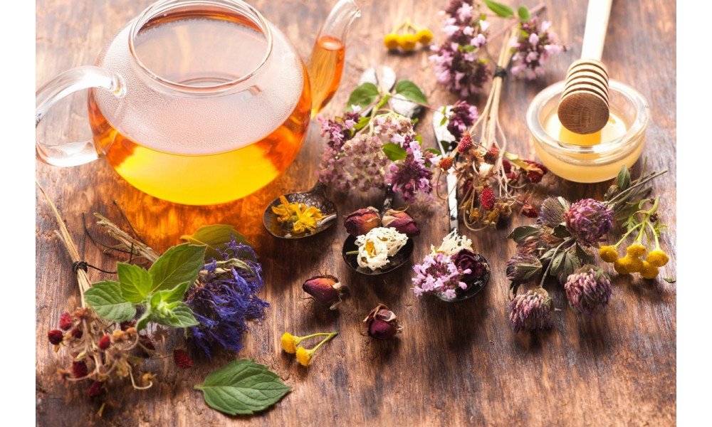 How to choose herbs and herbal teas: benefits, aromas, and proper use