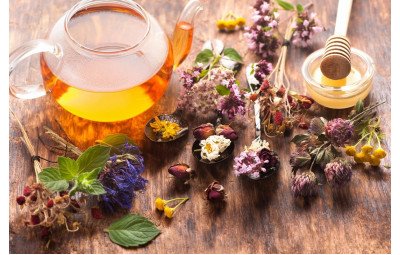 How to choose herbs and herbal teas: benefits, aromas, and proper use