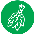 Веники